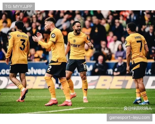 新援闪耀英超：强援加盟助球队强势反弹，状态火热表现抢眼