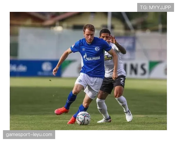 维罗纳防线固若金汤，球队状态回升引关注